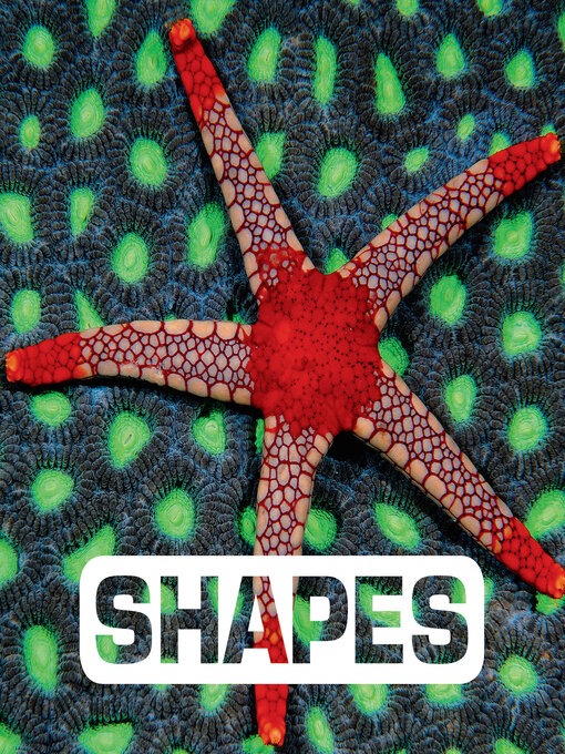 Title details for Shapes by Judith Nouvion - Available